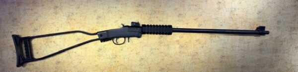 CARABINE CHIAPPA LITTLE BADGER 22LR
