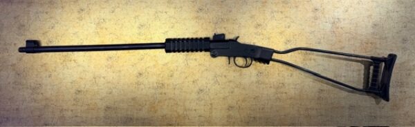 CARABINE CHIAPPA LITTLE BADGER 22LR